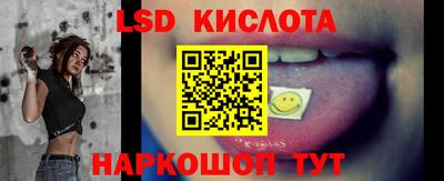 крисы Аргун
