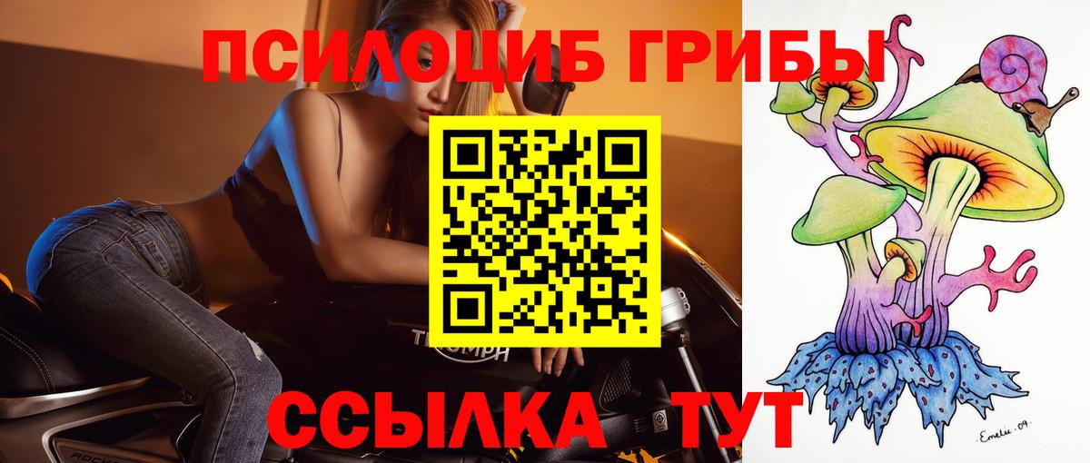 Псилоцибиновые грибы прущие грибы  Вход с VPN  Россия 