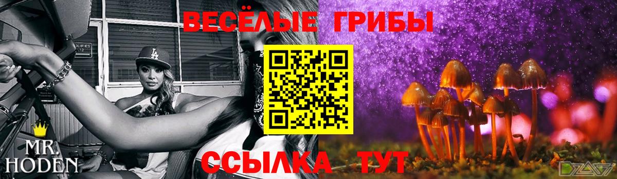 Галлюциногенные грибы Psilocybine cubensis Россия